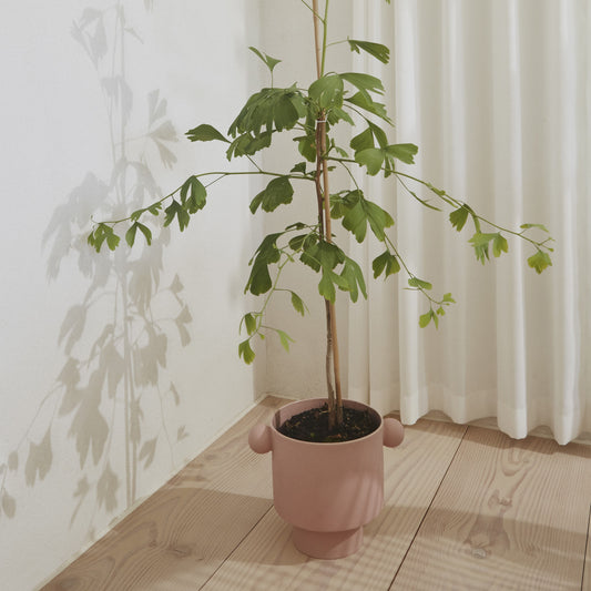 Verdant Embrace Planter