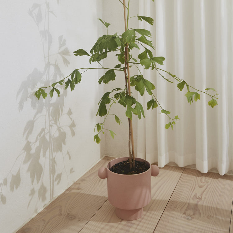 Verdant Embrace Planter